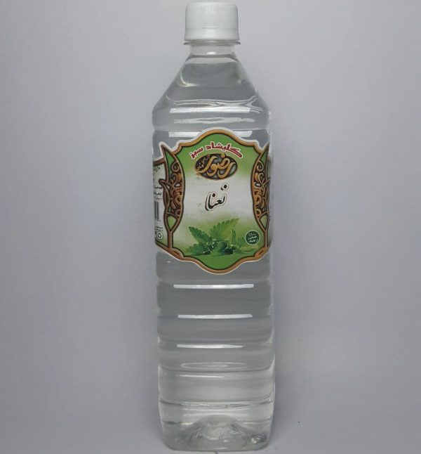 عرق نعنا
