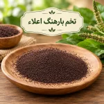 تخم بارهنگ اعلاء