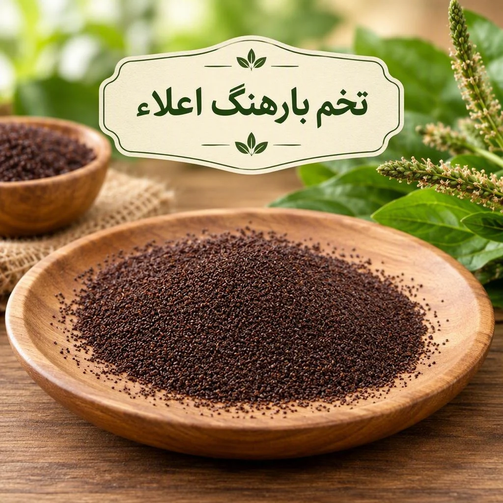 تخم بارهنگ اعلاء