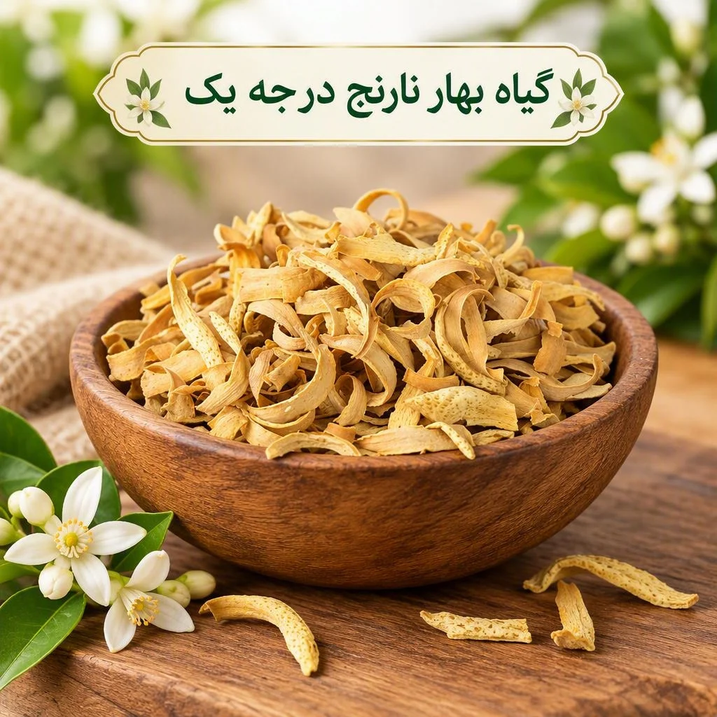 گیاه بهار نارنج درجه یک